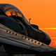 Illustration for article titled José "Fuji" Ramos Is A Photographer Whose Studio Is An F-5 Tiger